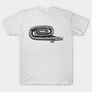 Zebra Tuba Eel T-Shirt